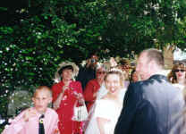 Confetti.jpg (315365 bytes)